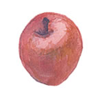 リンゴ果実培養細胞エキス